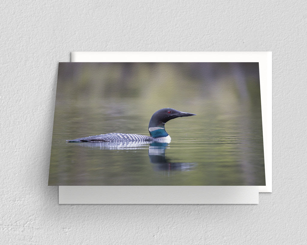 Loon