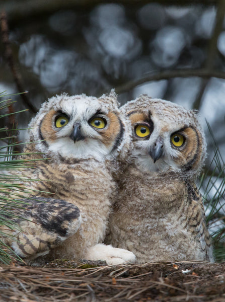 untitled-202_f94179b3-e917-