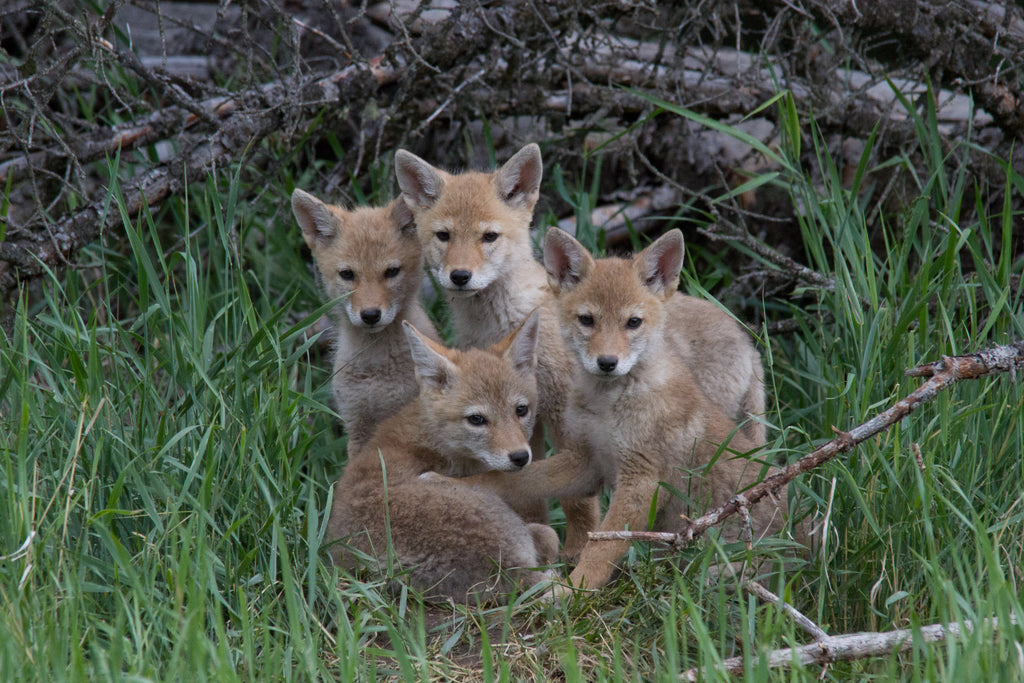Family photo!
