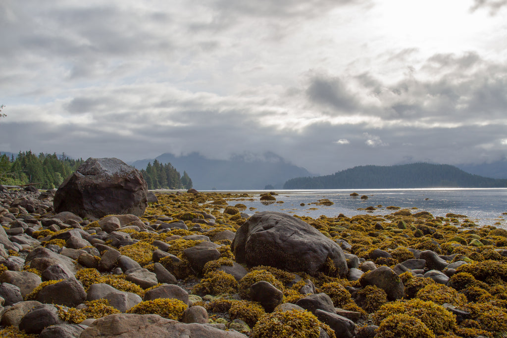 Vancouver Island