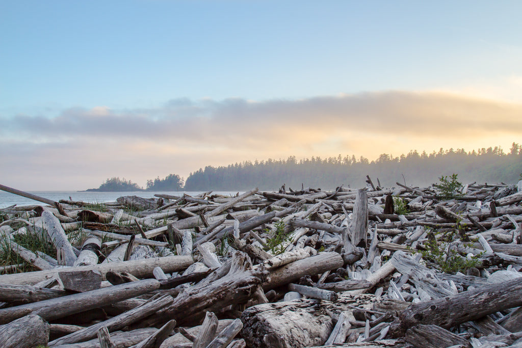 Vancouver Island
