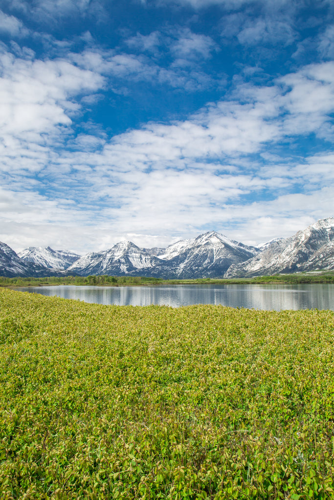 Waterton