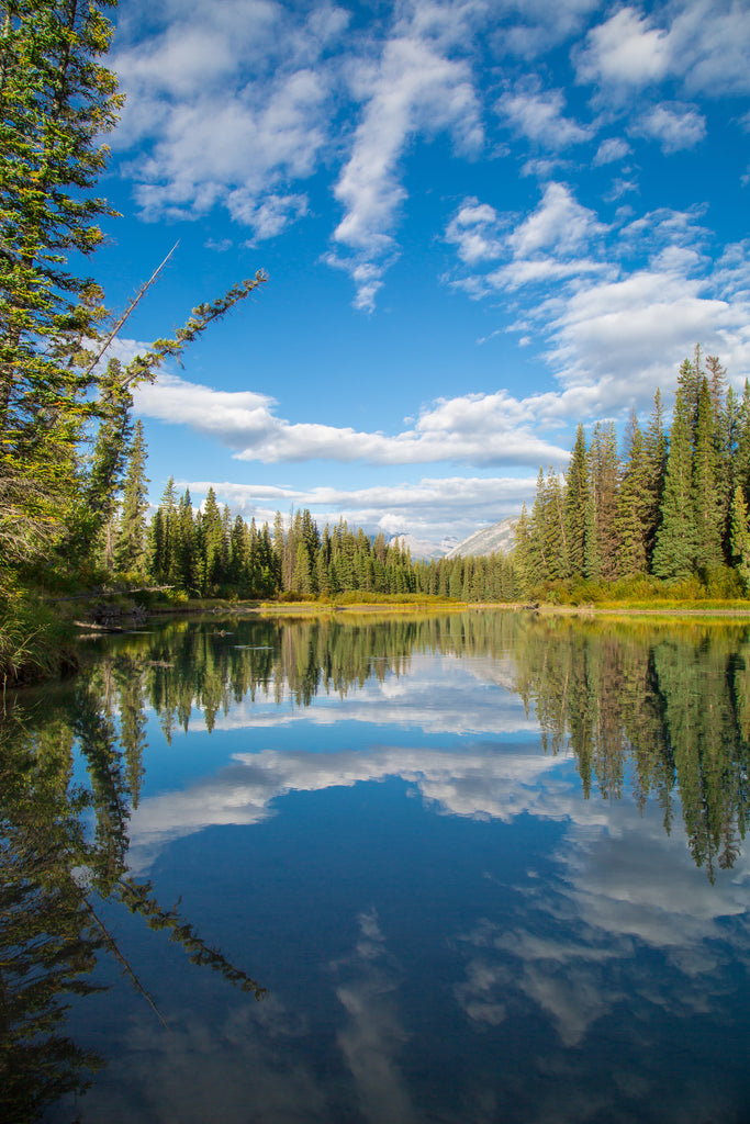 Bow river