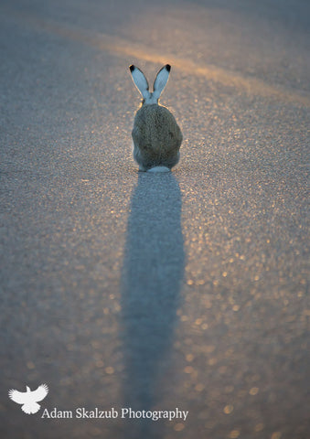 Sun down! - Adam Skalzub Photography