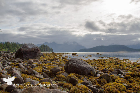 Low tide - Adam Skalzub Photography