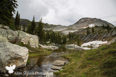 Monashee alpine - Adam Skalzub Photography