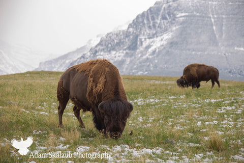 Mountains and Plains - Adam Skalzub Photography
